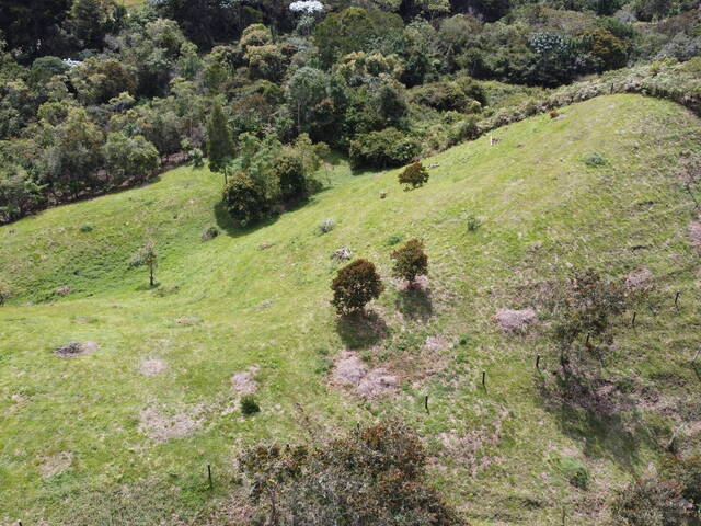 Terreno para Venta en Rionegro - 4