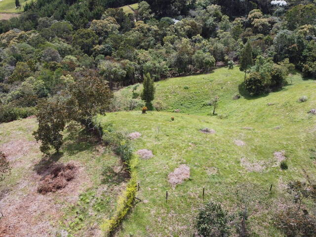 Terreno para Venta en Rionegro - 5