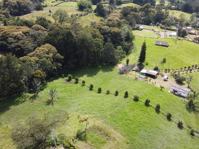 Terreno para Venta en Rionegro - 3
