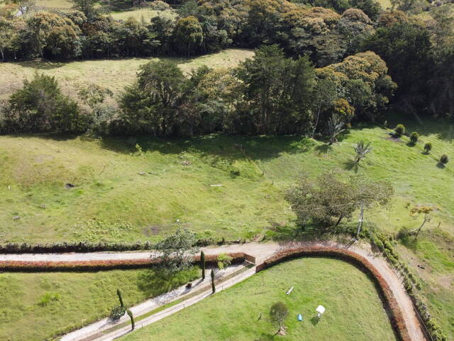 Terreno para Venta en Rionegro - 4