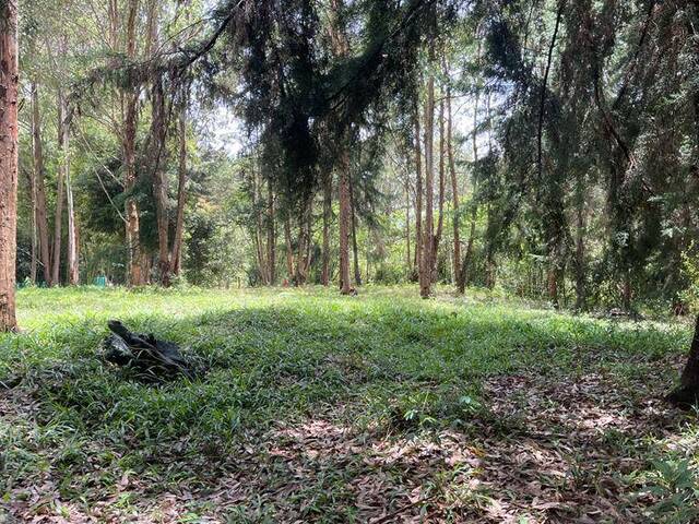 Terreno para Venta en Rionegro - 4