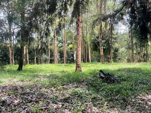 Terreno para Venta en Rionegro - 5