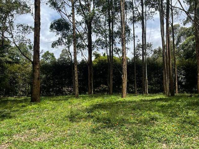 Terreno para Venta en Rionegro - 2