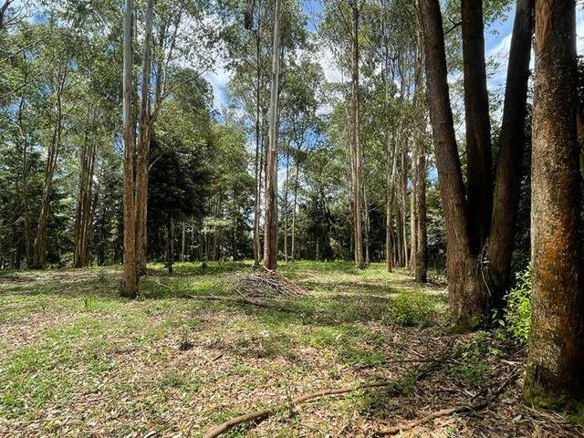 Terreno para Venta en Rionegro - 3
