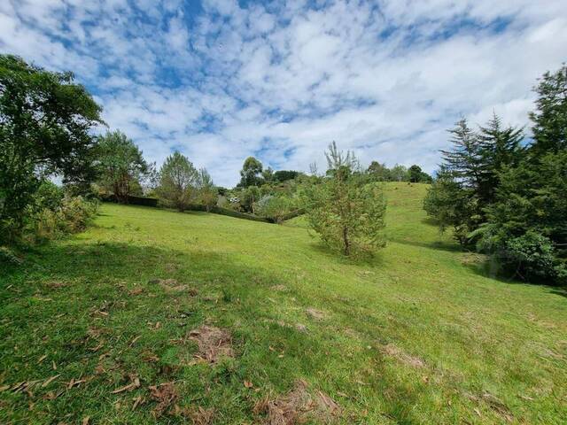 Terreno para Venta en Retiro - 5