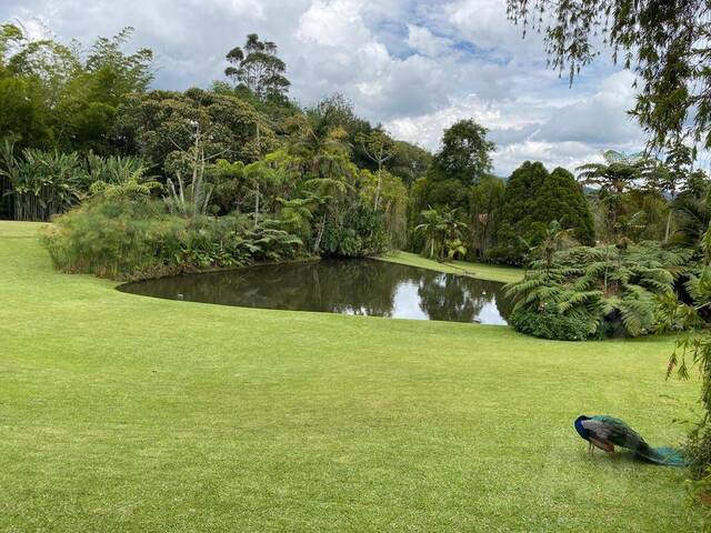 #4501 - Finca para Venta en Retiro - ANT - 3