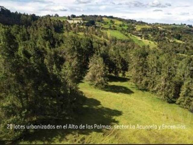Terreno para Venta en Envigado - 5