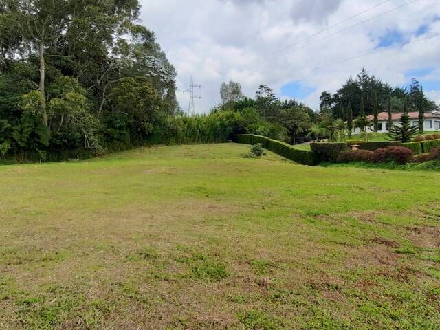#4499 - Terreno para Venta en Rionegro - ANT - 1