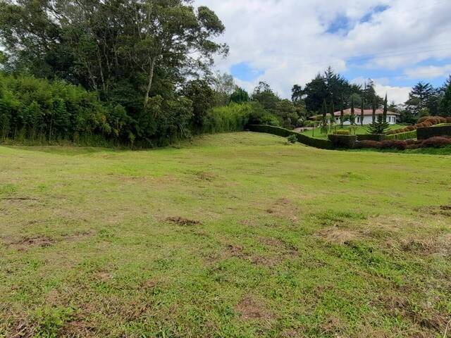 Terreno para Venta en La Ceja - 4