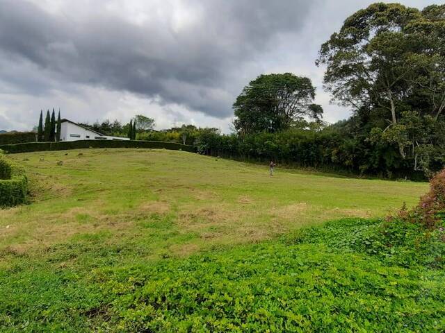 Terreno para Venta en La Ceja - 5