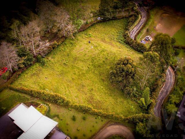 Terreno para Venta en Carmen de Viboral - 2
