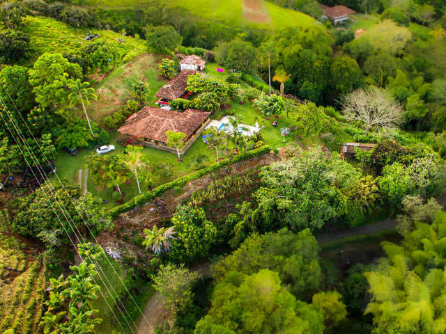 Finca para Venta en Tarso - 5