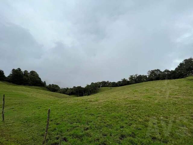 #4542 - Terreno para Venta en Rionegro - ANT - 3