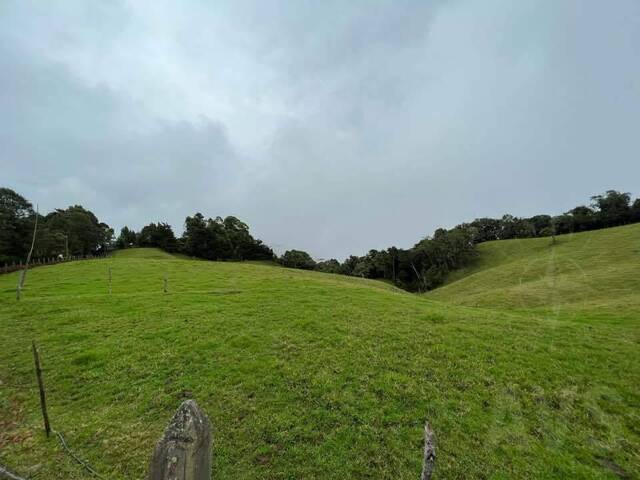 #4542 - Terreno para Venta en Rionegro - ANT - 2