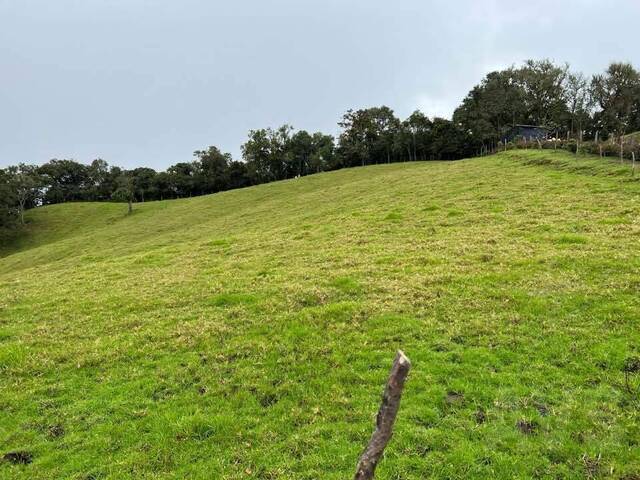 Terreno para Venta en Rionegro - 4
