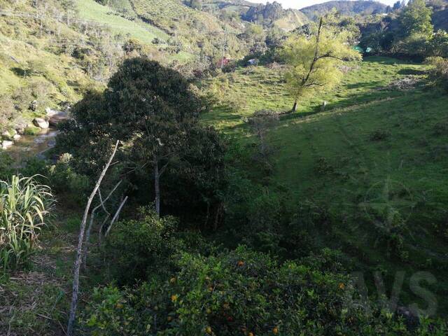 Terreno para Venta en San Vicente - 4