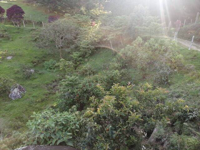 Terreno para Venta en San Vicente - 5