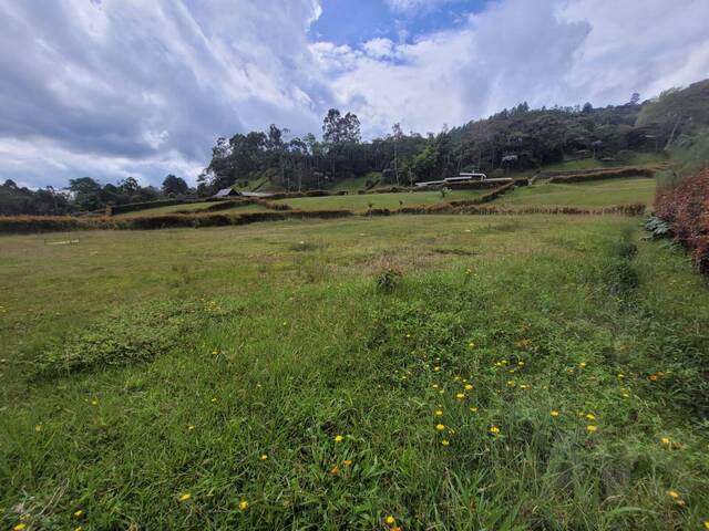 #4548 - Terreno para Venta en Rionegro - ANT - 3