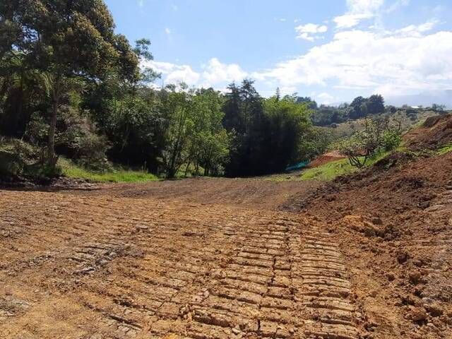 Terreno para Venta en Carmen de Viboral - 4