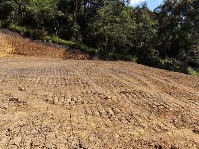 Terreno para Venta en Carmen de Viboral - 5