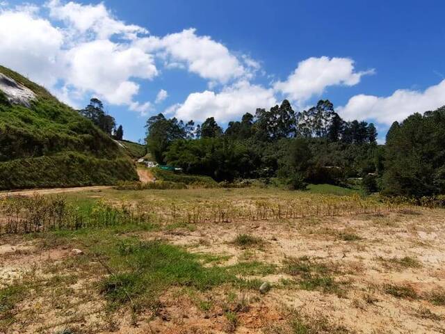 Terreno para Venta en Carmen de Viboral - 5