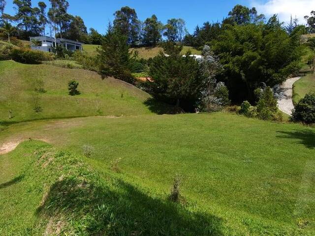 Terreno para Venta en Carmen de Viboral - 5