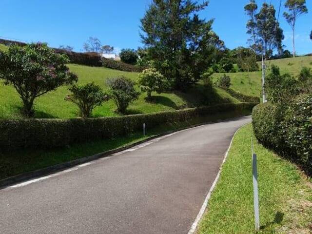 Terreno para Venta en Carmen de Viboral - 4