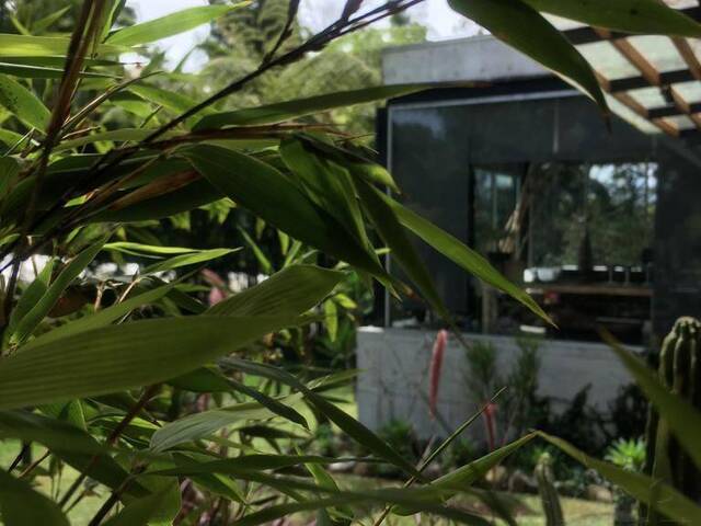 Finca para Alquiler en Rionegro - 5