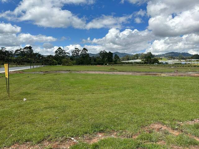 Venta en Sector Zona Franca - Rionegro