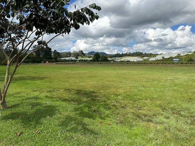 Industrial para Venta en Rionegro - 4