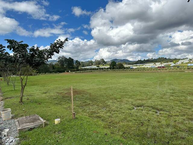 Industrial para Venta en Rionegro - 5