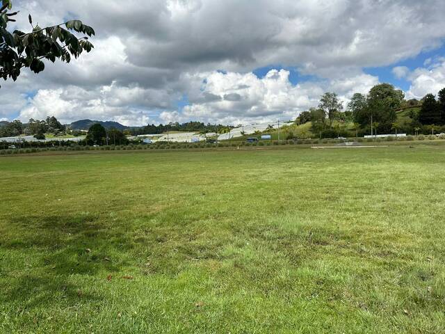 Industrial para Venta en Rionegro - 4