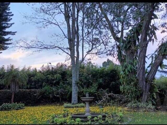 Finca para Venta en Rionegro - 5