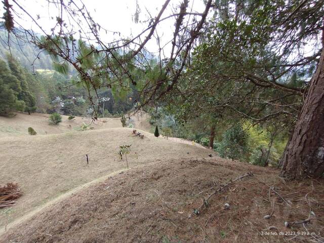 #4606 - Terreno para Venta en Retiro - ANT - 2