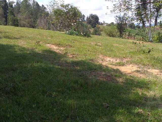 Terreno para Venta en Rionegro - 5