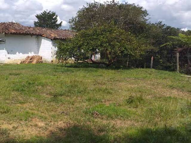 Terreno para Venta en Rionegro - 4