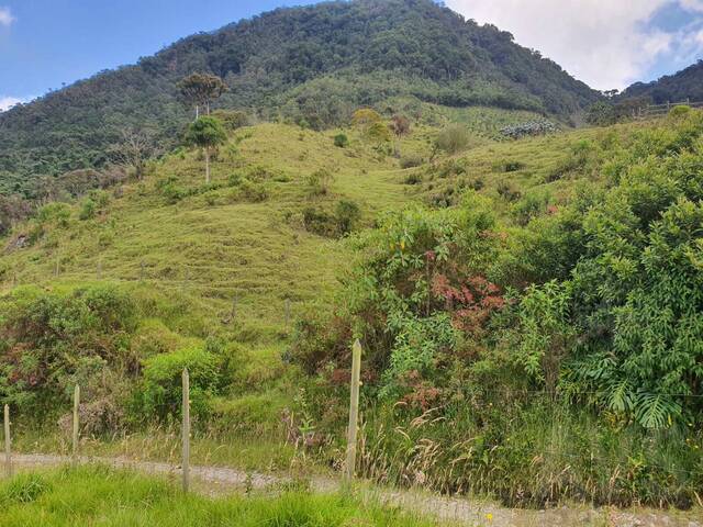 Terreno para Venta en Carmen de Viboral - 4