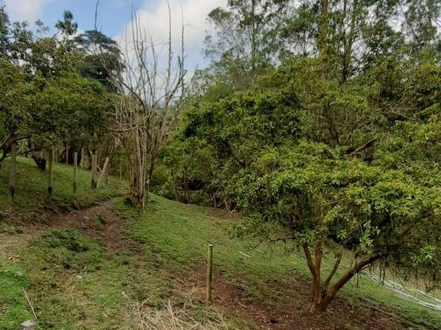 #4597 - Terreno para Venta en Rionegro - ANT - 3