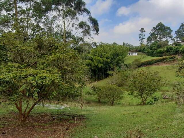 Venta en Ojo de Agua - Rionegro