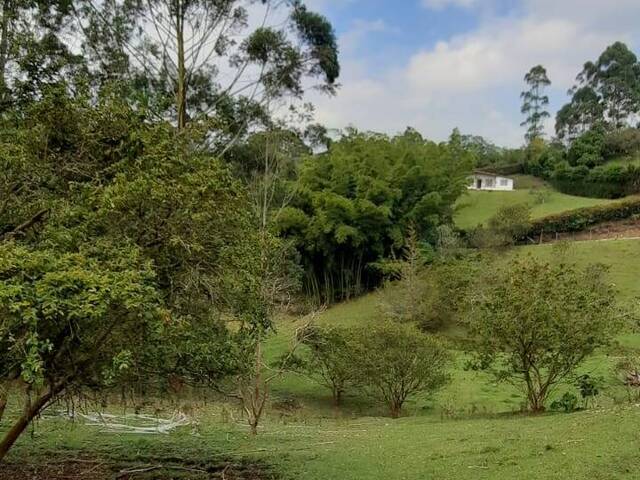#4597 - Terreno para Venta en Rionegro - ANT - 2