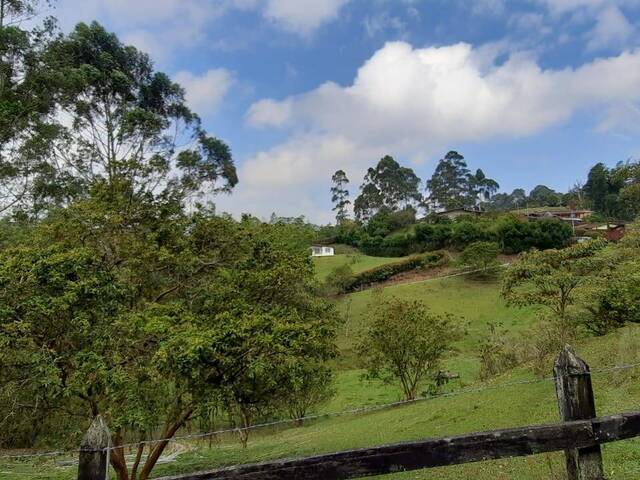 Terreno para Venta en Rionegro - 4