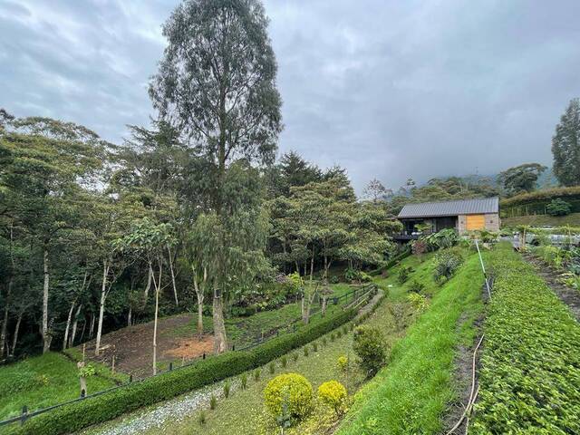 Finca para Venta en La Ceja - 4