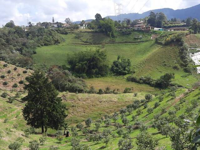 Finca para Venta en Marinilla - 4