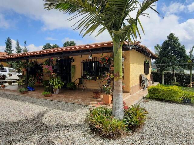 #4613 - Finca para Venta en Marinilla - ANT - 3