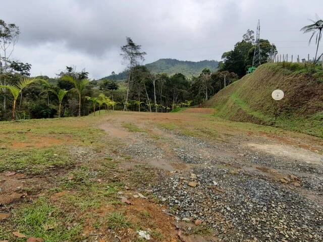Venta en Vereda Santa Teresa - La Ceja