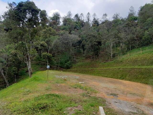 #4616 - Terreno para Venta en Retiro - ANT - 2