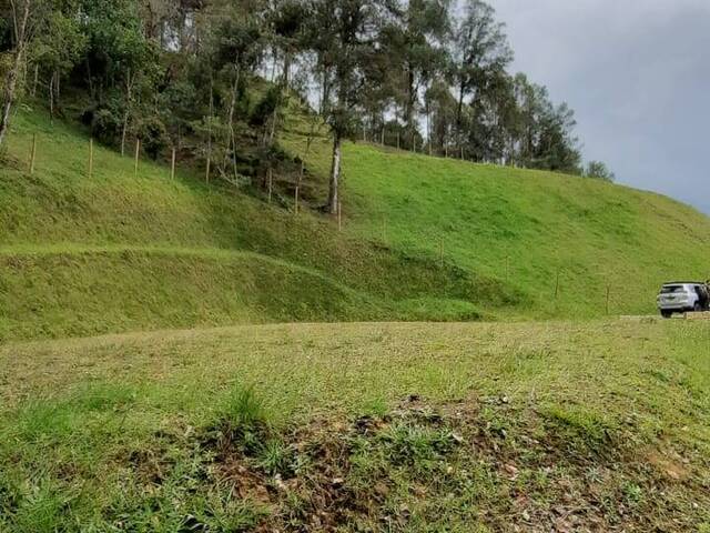 Terreno para Venta en Retiro - 5