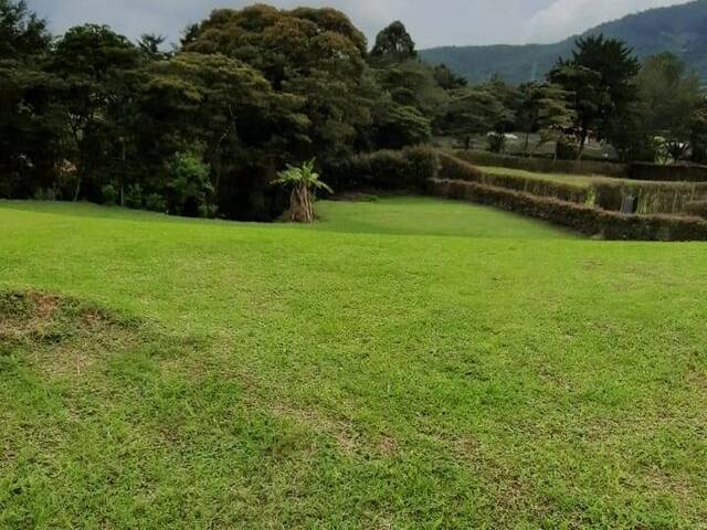 Terreno para Venta en Carmen de Viboral - 5