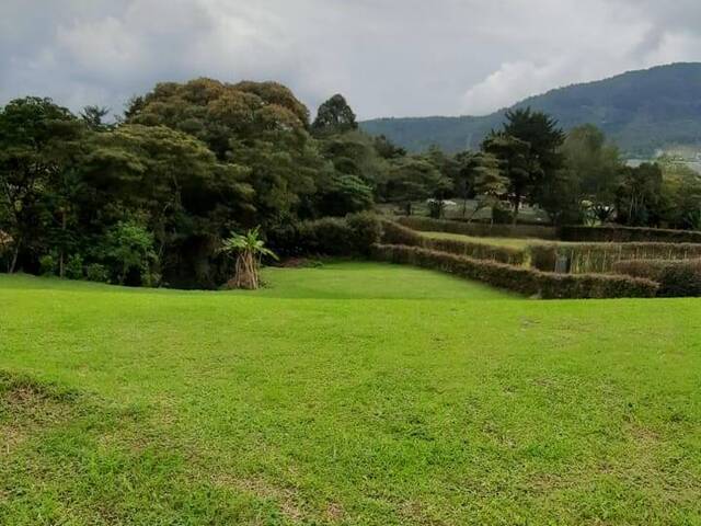 Terreno para Venta en Carmen de Viboral - 4
