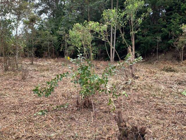 Venta en Galicia los Pinos - Rionegro
